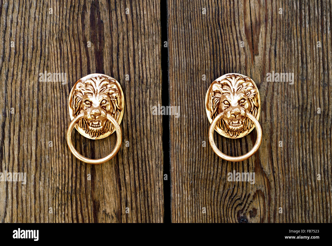 Porta respingente in forma di una testa di leone Foto Stock