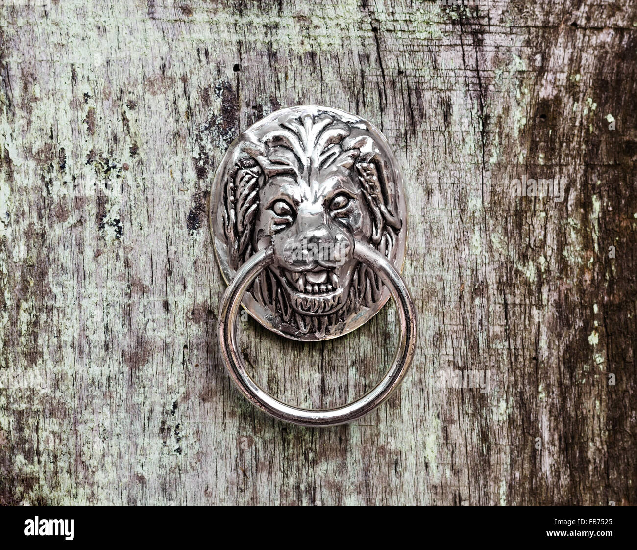 Porta respingente in forma di una testa di leone Foto Stock