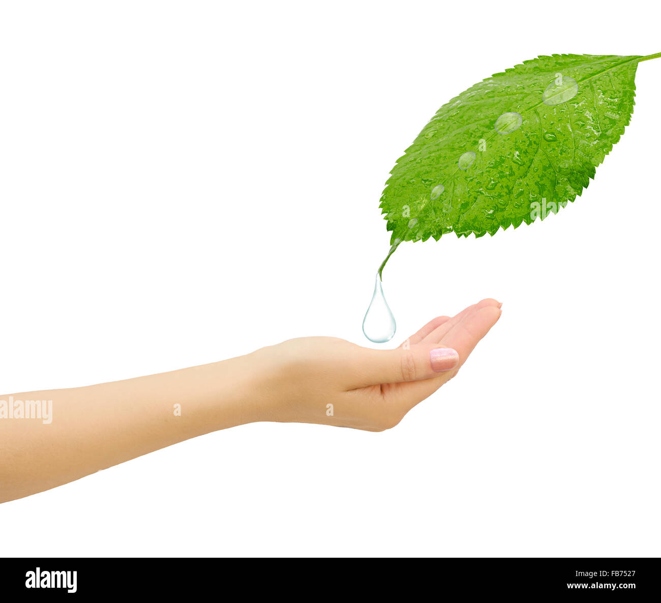 Goccia di acqua che cade a portata di mano Foto Stock