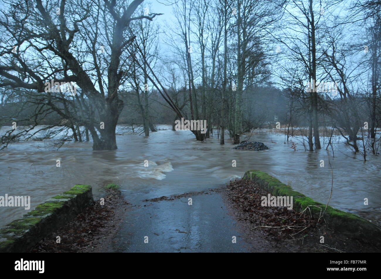 Elevato livello di inondazione a Shakin' Brig, Inverurie Foto Stock