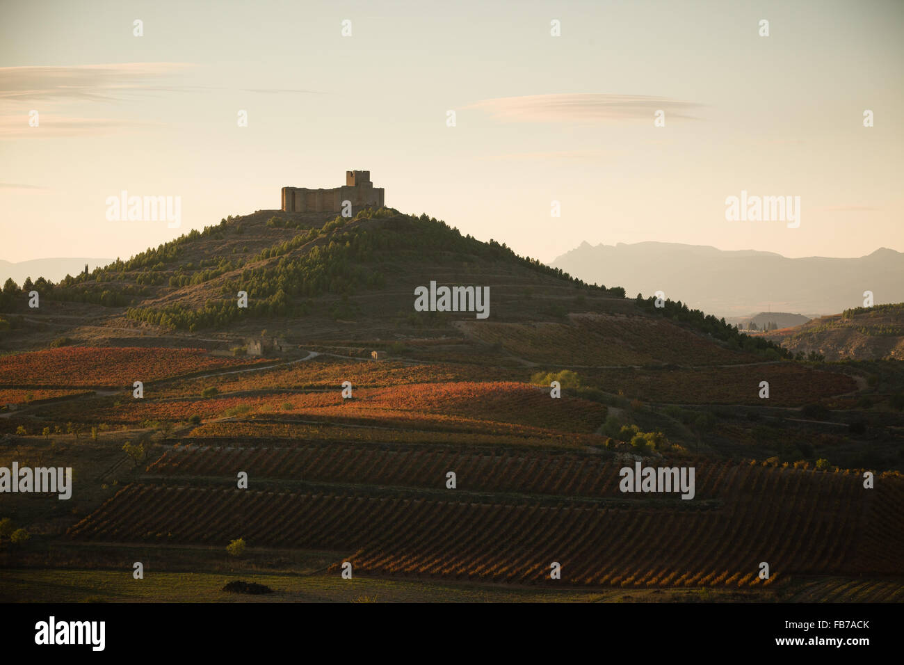 22/10/15 Fiume Ebro e Davalillo castello tra i vigneti, nei pressi di San Asensio, La Rioja, Spagna Foto Stock