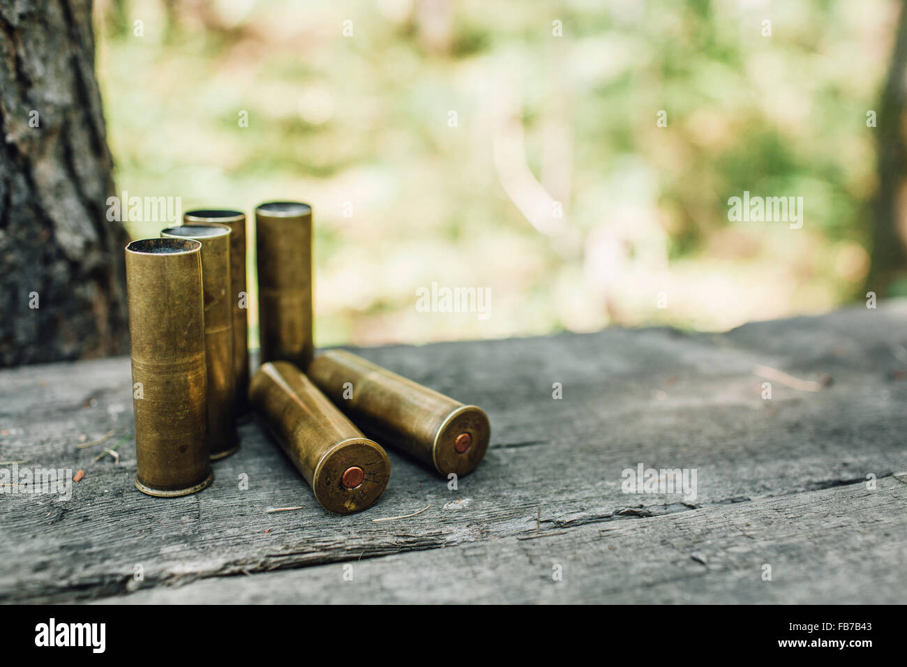 Close-up di proiettile sul banco a forest Foto Stock