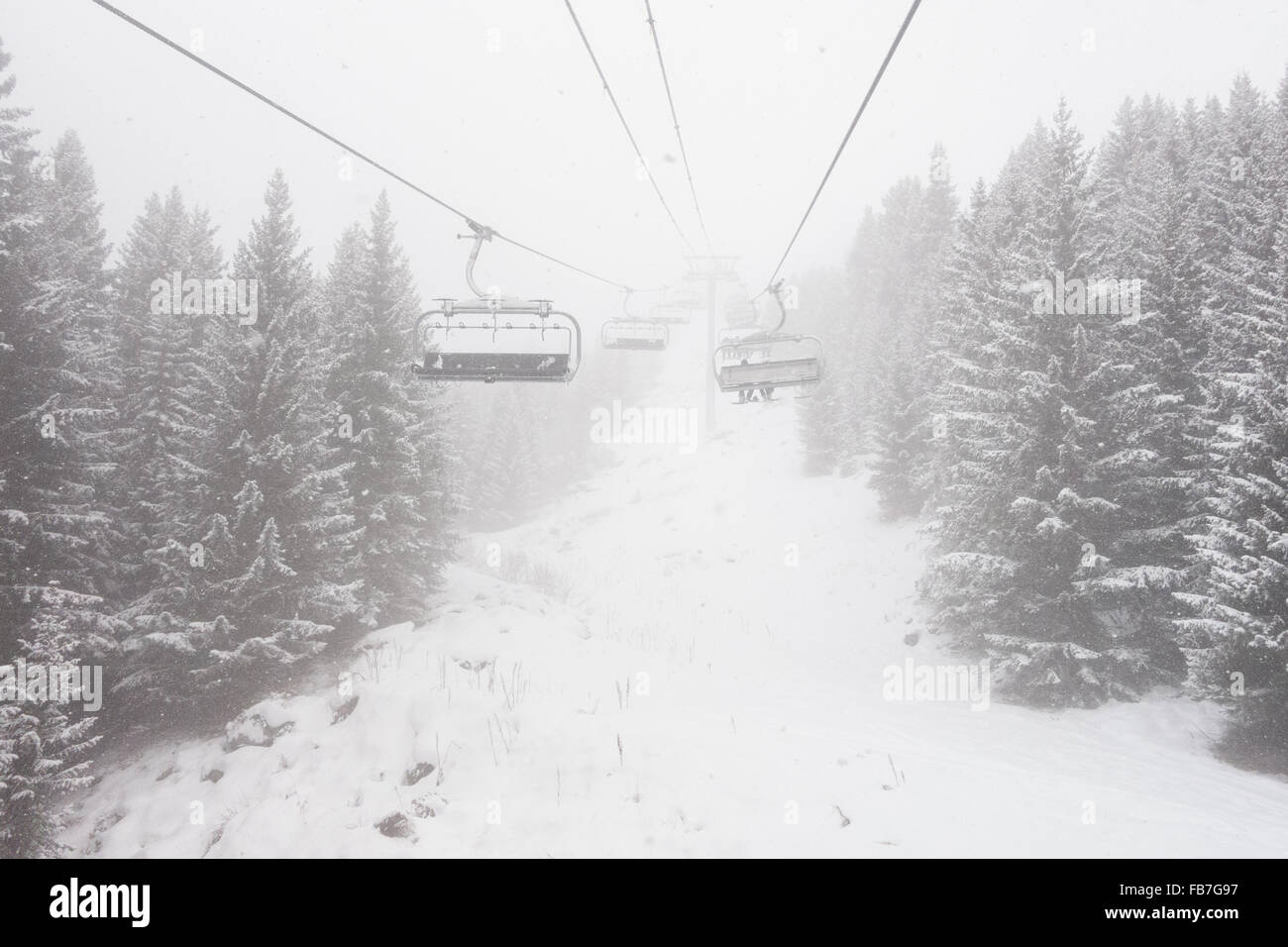 Sfondo monocromo di seggiovie e gli alberi in una fredda giornata nevosa nelle Alpi francesi Foto Stock