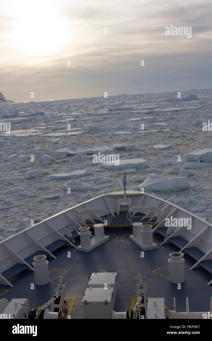 La nave di crociera la navigazione di campo del pack di ghiaccio in Antartide. Foto Stock