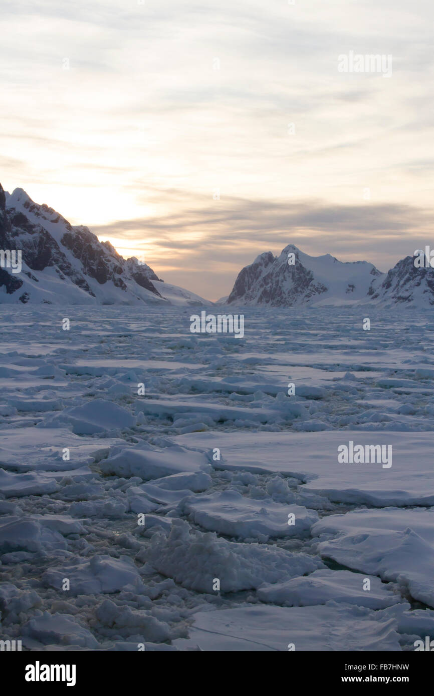 Estate Sunset over pack campo di ghiaccio in Antartide. Foto Stock