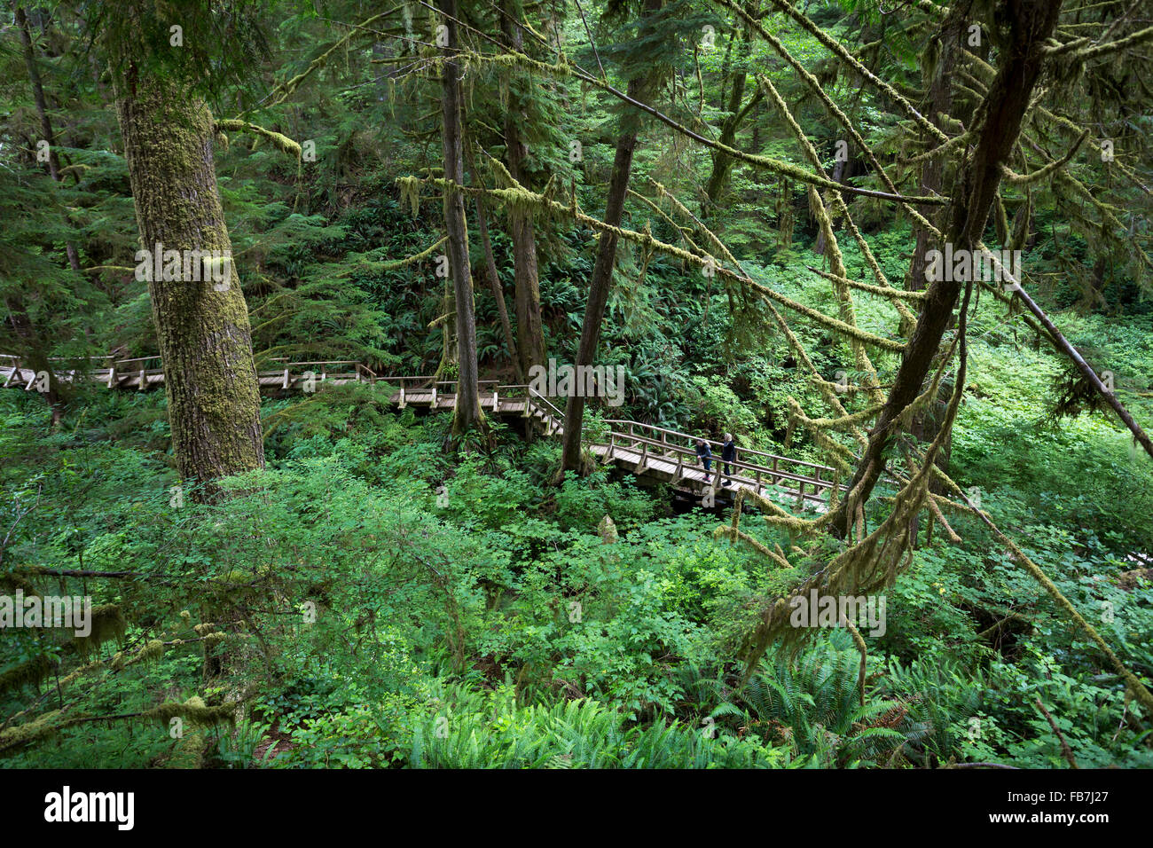 America del nord, Canada, British Columbia, l'isola di Vancouver, Pacific Rim National Park riserva, due turisti femmina escursionismo Foto Stock