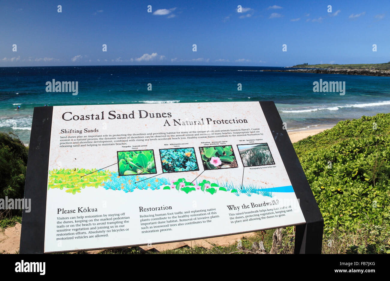 Segno interpretative lungo il Kapalua sentiero costiero a Maui Foto Stock