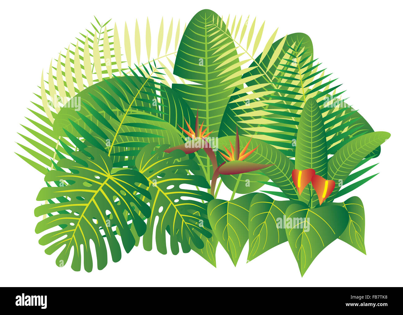 Una giungla tropicale piante con foglie e fiori isolati su sfondo bianco Illustrazione a colori Foto Stock Una giungla tropicale piante con foglie e fiori isolati su sfondo bianco Illustrazione a colori Foto Stock