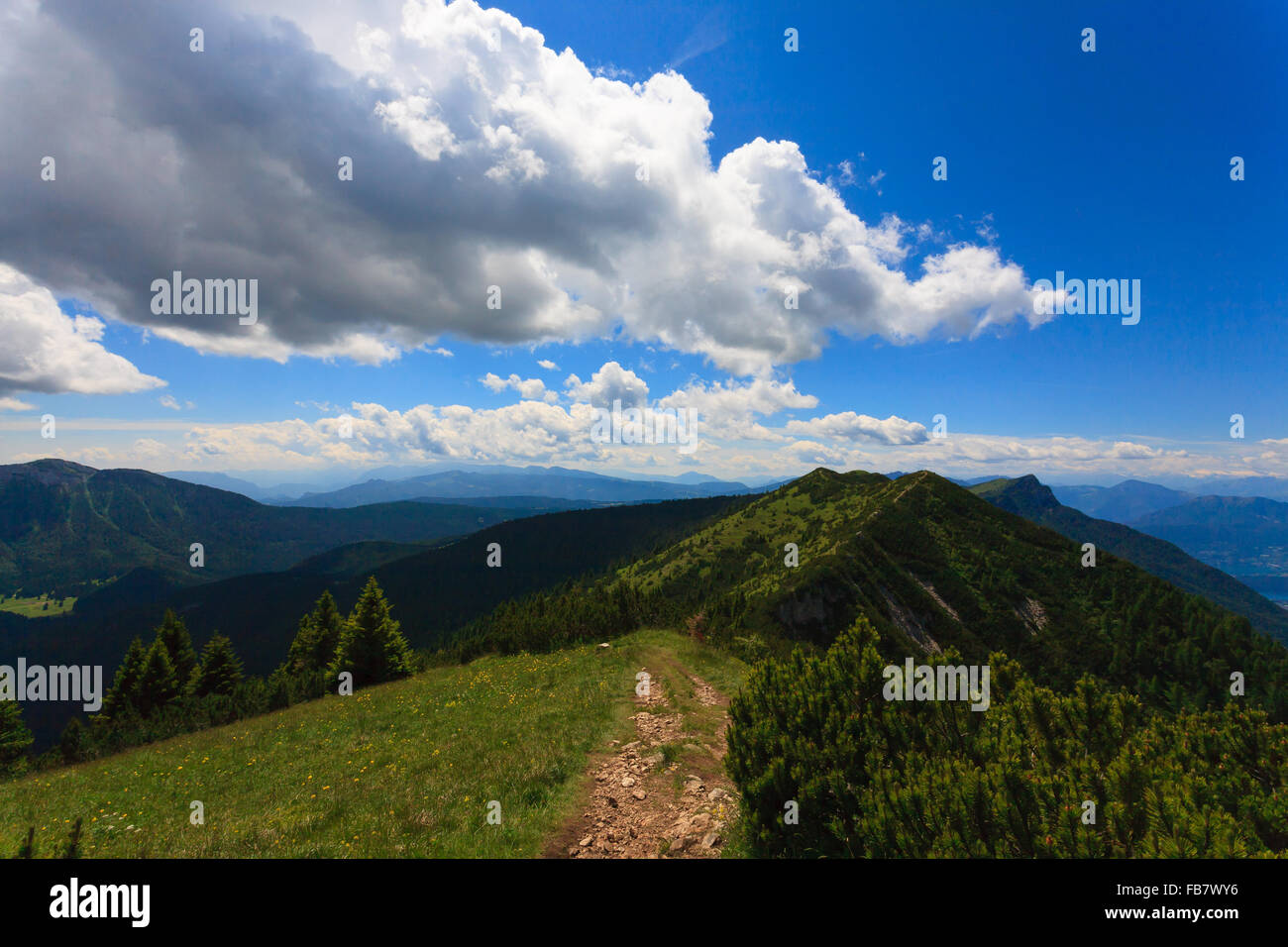 Panorama dalle Alpi italiane, pino mugo lungo una montagna percorso di trekking Foto Stock