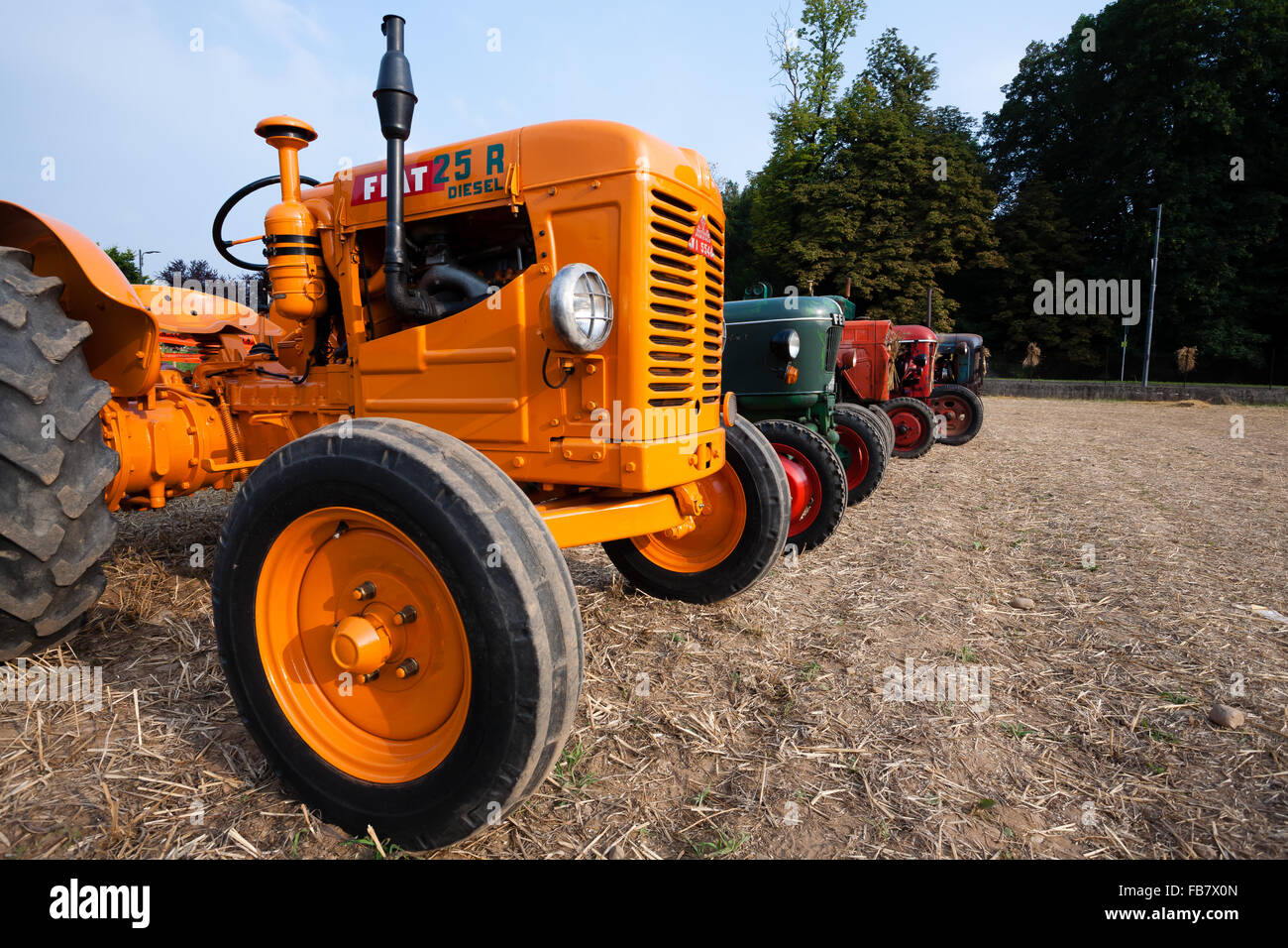 Cinque vecchi trattori in prospettiva, veicolo agricolo, vita rurale Foto Stock