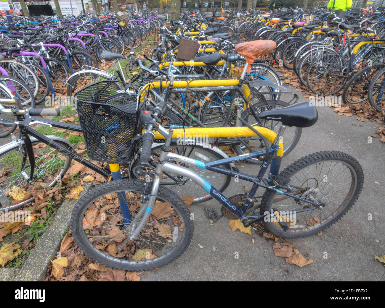 Il parcheggio per le bici, Oxford Bike Park Foto Stock