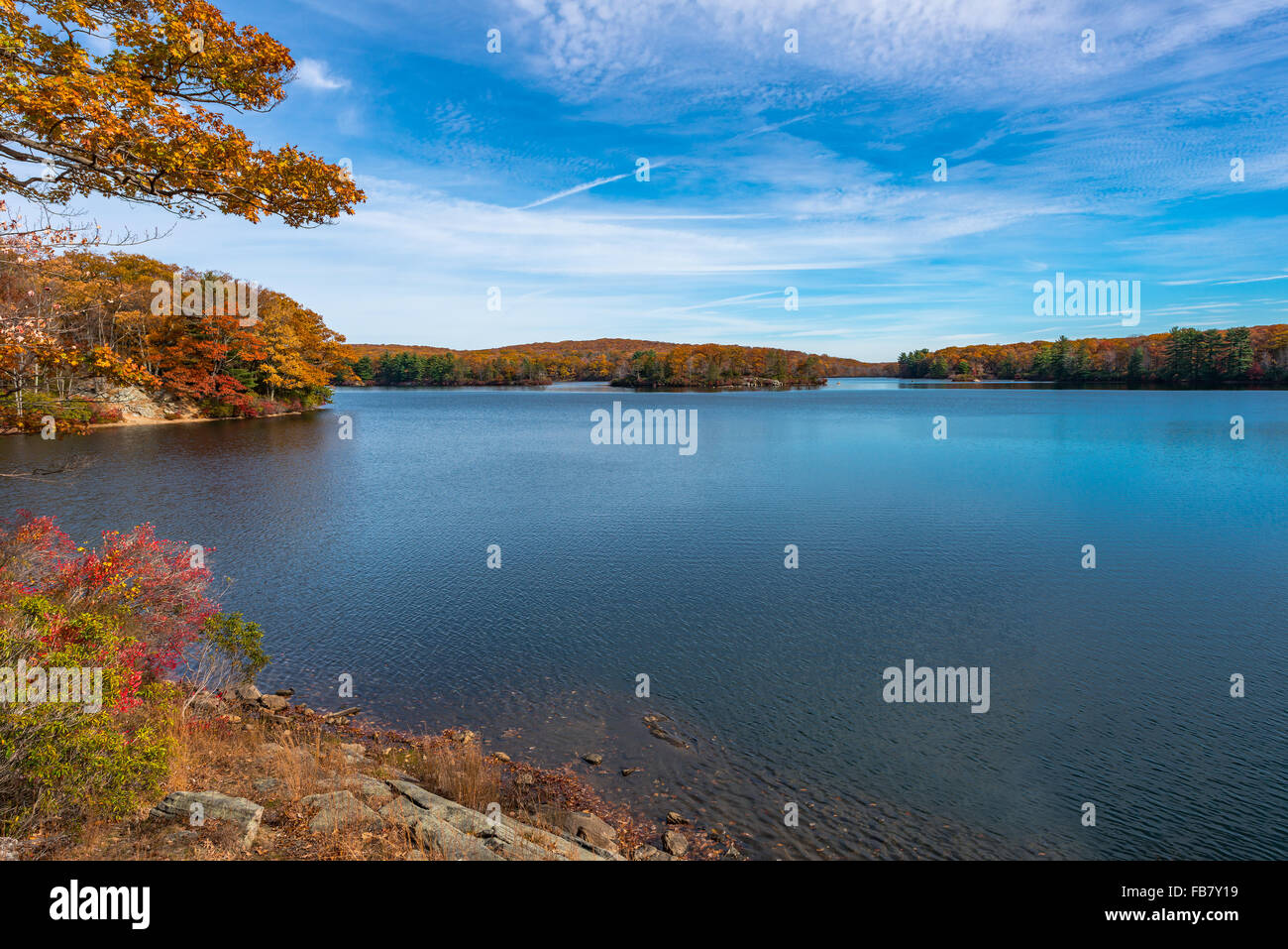 La riflessione,Lago Nawahunta New Jersey Foto Stock