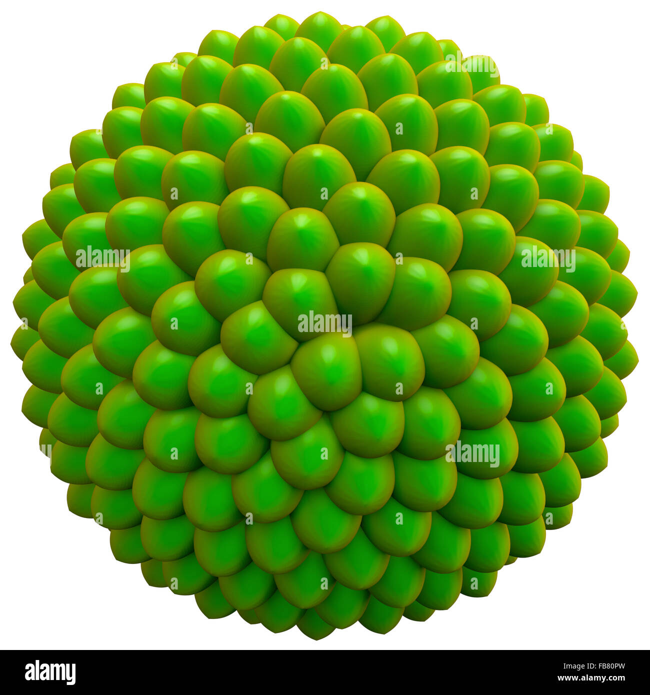 Sementi di base cluster, nessuna particolare specie. 3D render sulla base di fibonacci o rapporto aureo pattern. Foto Stock