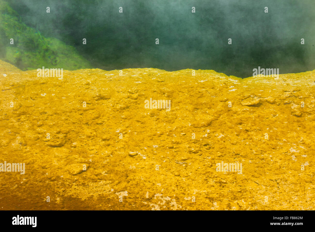 Primo piano della luce arancione brillante rim e acqua verde di una fumante gloria di mattina in piscina nel Upper Geyser Basin, parco di Yellowstone. Foto Stock