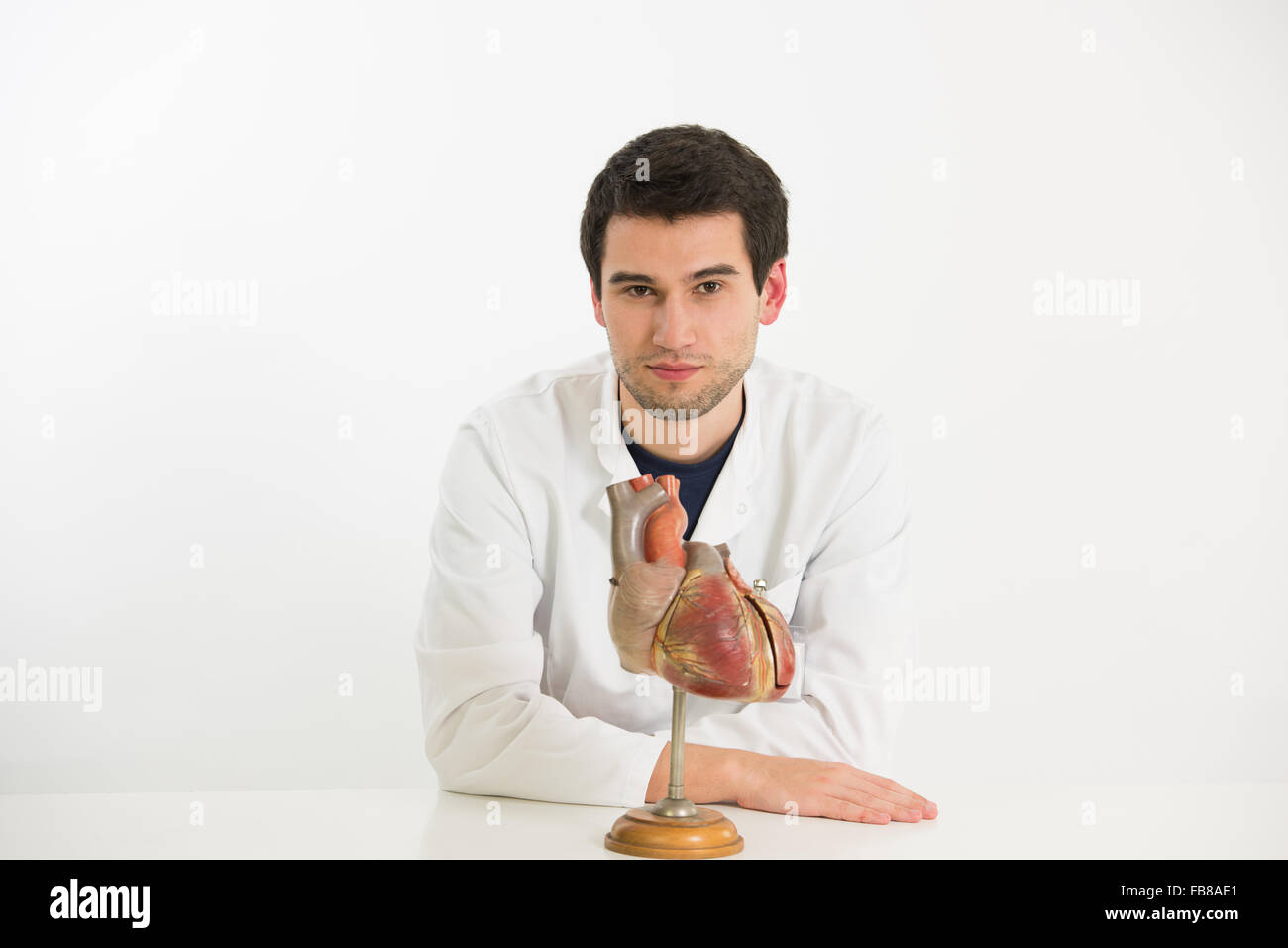 Giovane maschio medico funziona con il modello del cuore umano Foto Stock