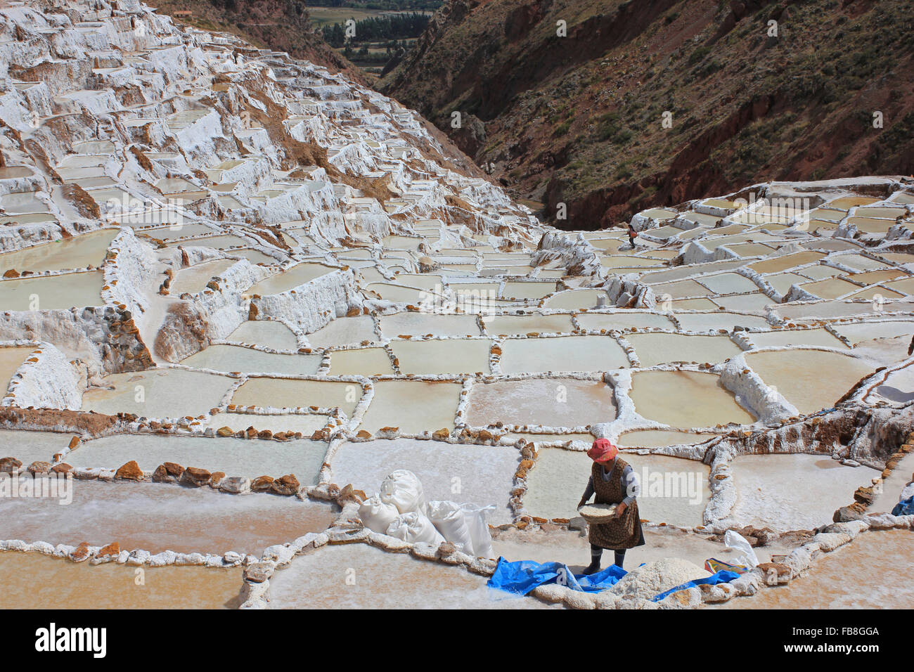 Salinas de Maras sale stagni di evaporazione lungo le pendici del monte Qaqawiñay, nella valle Urumbamba, regione di Cusco, Perù Foto Stock