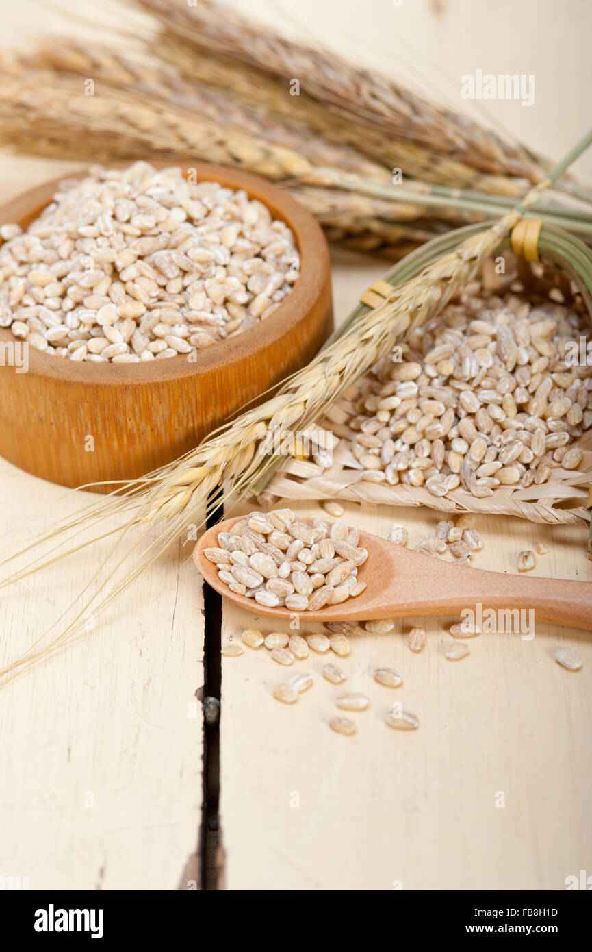 Organici di orzo grani sulla tavola in legno rustico macro closeup Foto Stock