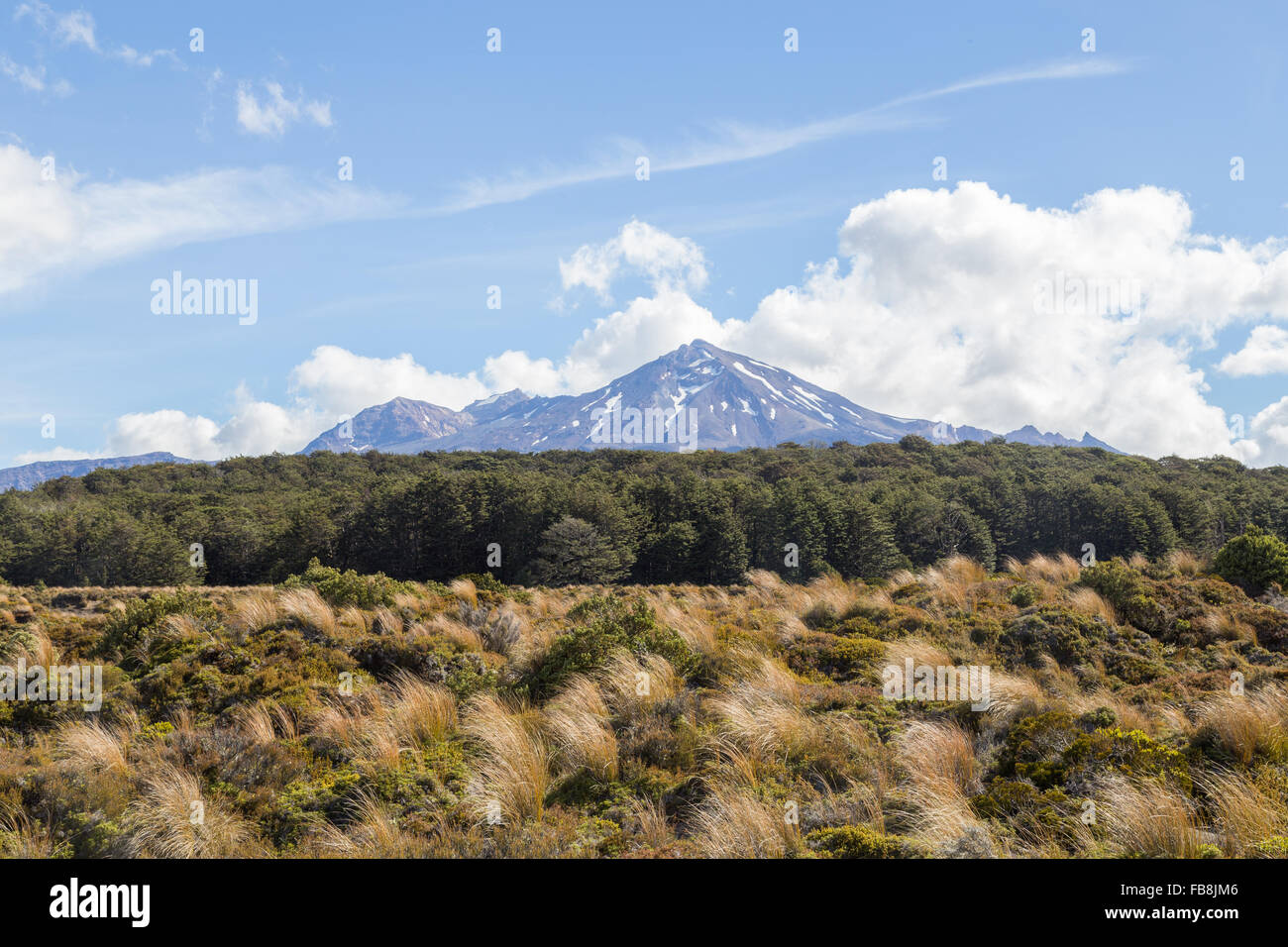 Vista del Monte Ruapehu in Nuova Zelanda come si vede dal Tongariro Circuito Nord. Foto Stock