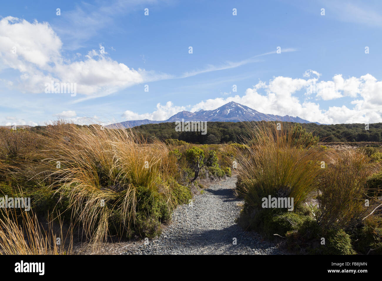 Vista del Monte Ruapehu in Nuova Zelanda come si vede dal Tongariro Circuito Nord. Foto Stock