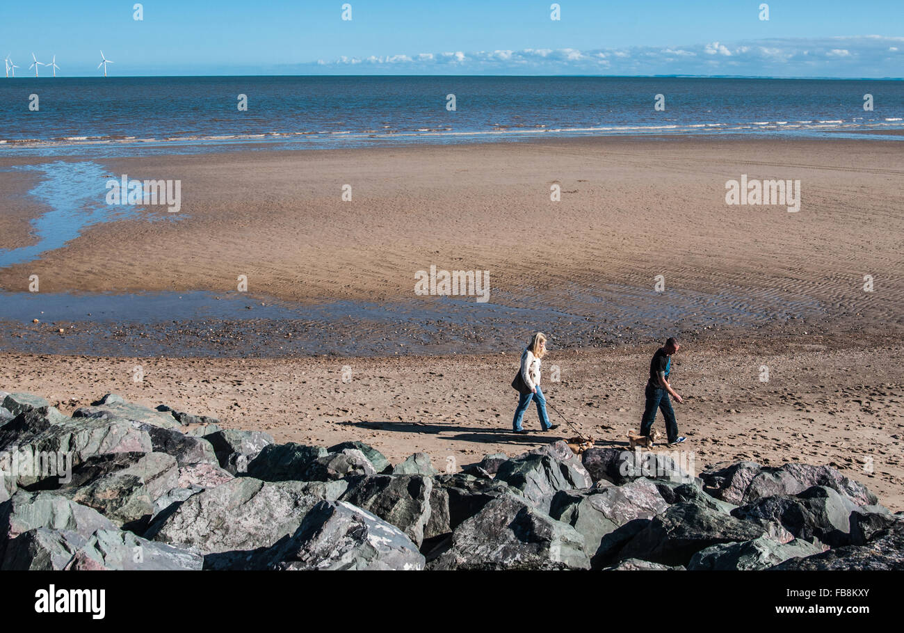 Passeggiando per i cani sulla spiaggia Skegness Lincolnshire Ray Boswell Foto Stock