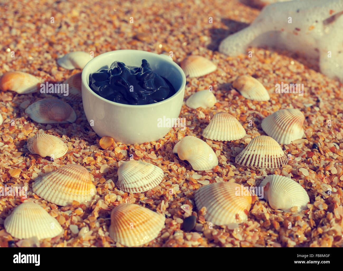 Fango del Mar Morto in una tazza in riva al mare Foto Stock