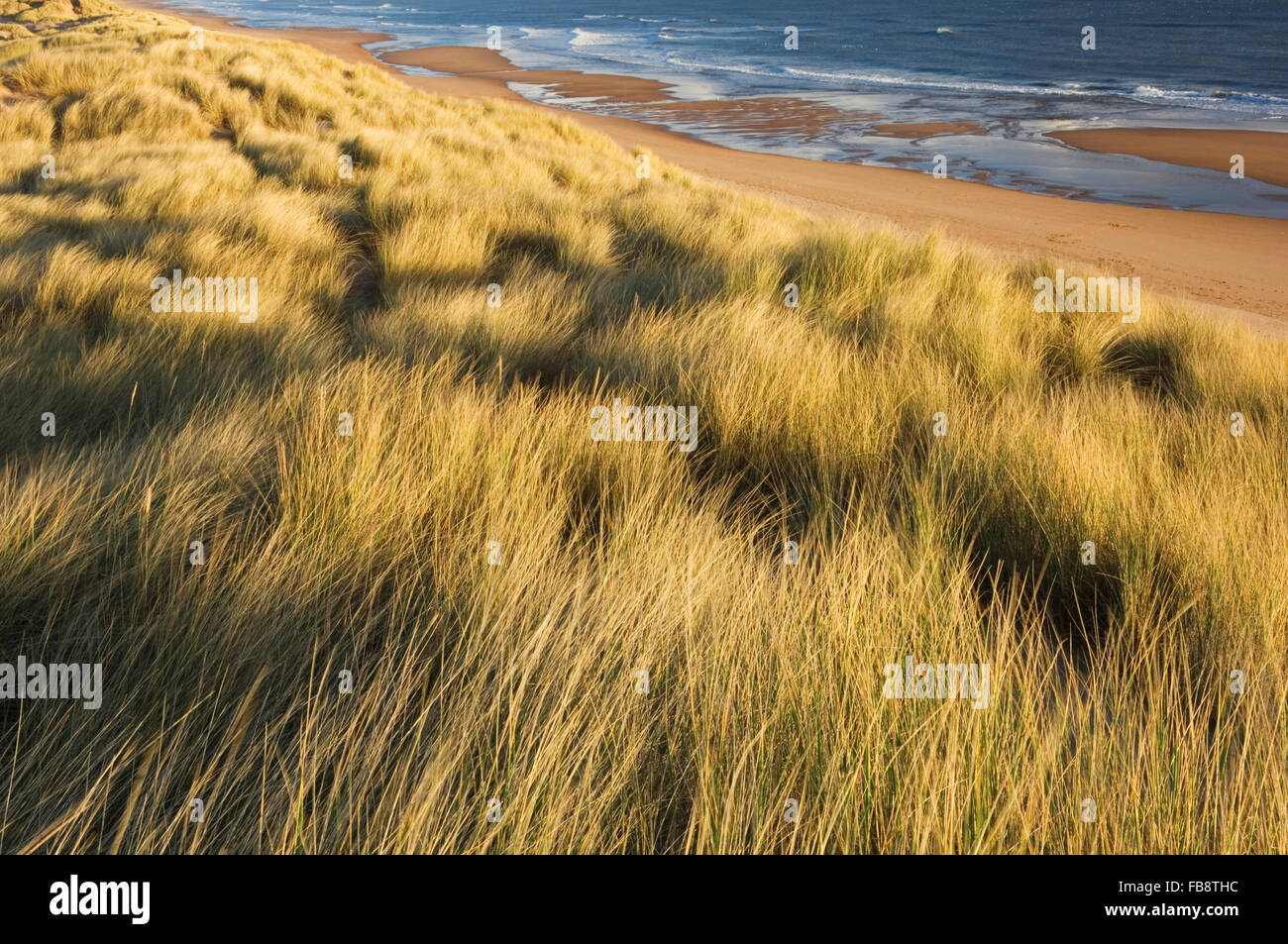 A Balmedie beach - vicino a Aberdeen, Scozia. Foto Stock