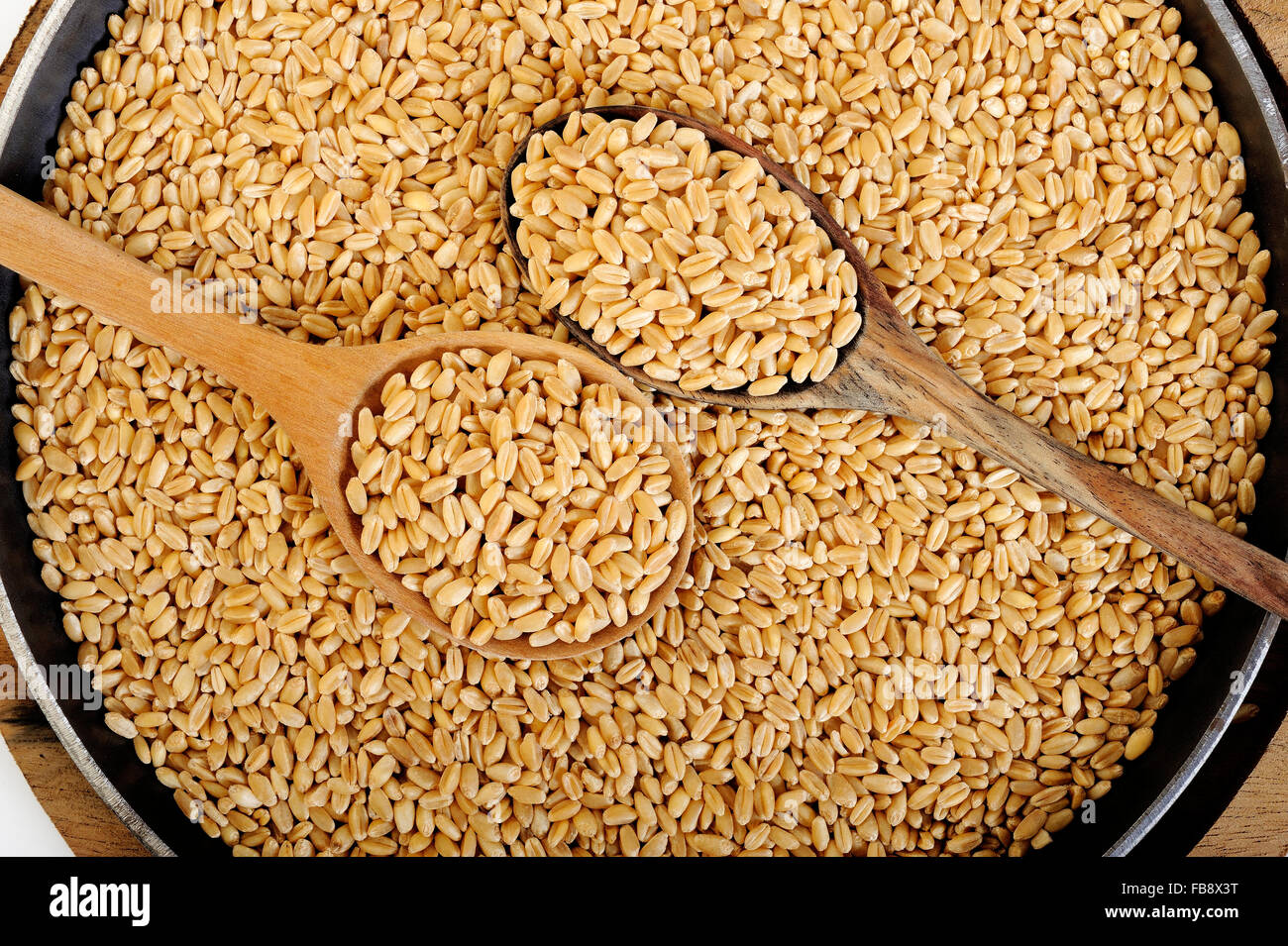 Orzo perlato grani in cucchiaio di legno Foto Stock