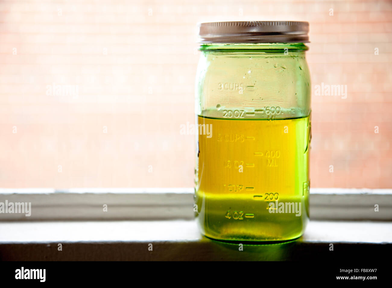 La Canola olio di cottura in verde mason jar, sul davanzale con sfondo mattone. Foto Stock La Canola olio di cottura in verde mason jar, sul davanzale con sfondo mattone. Foto Stock
