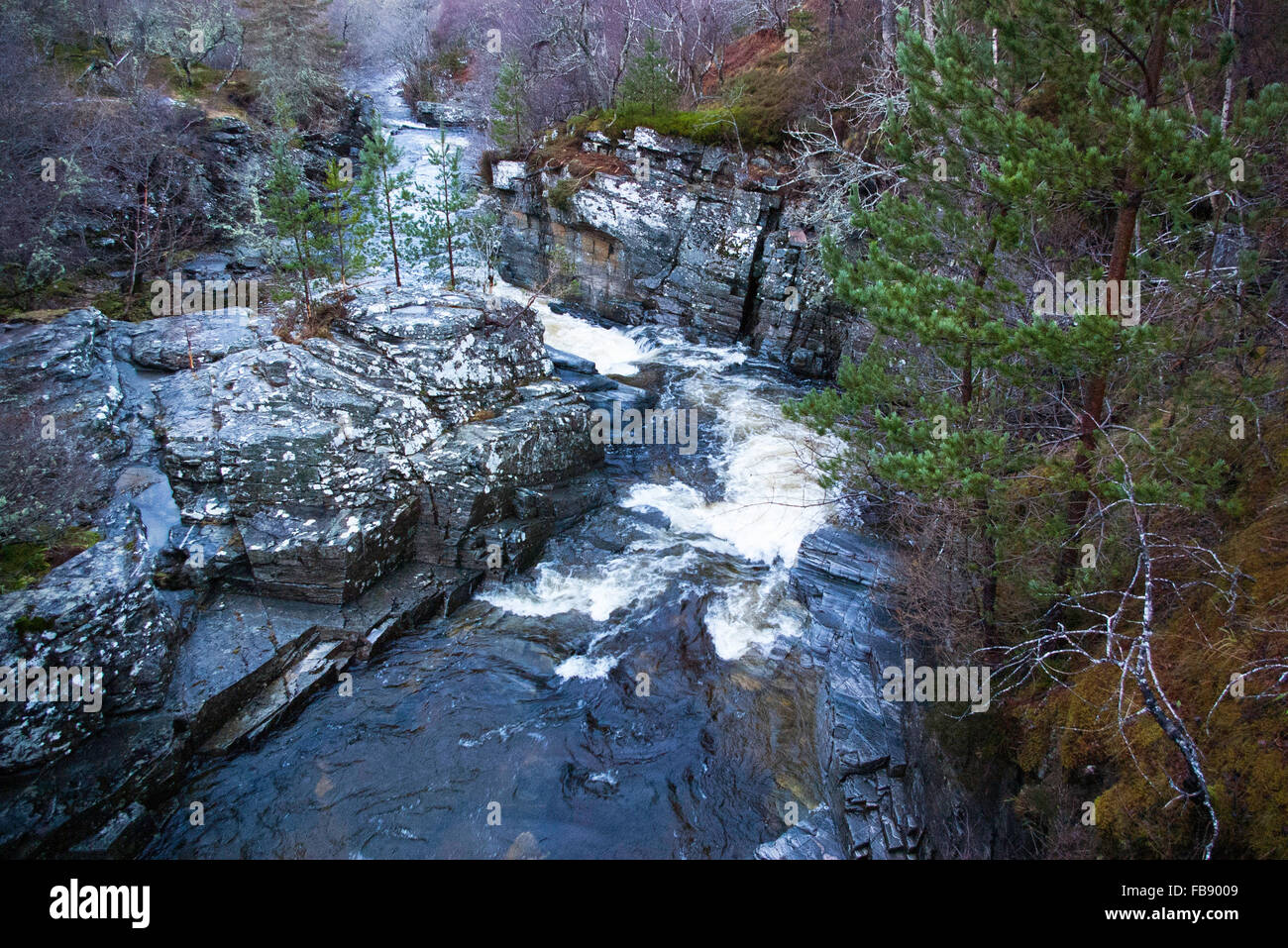 Un fiume di whisky nelle Highlands scozzesi! Foto Stock