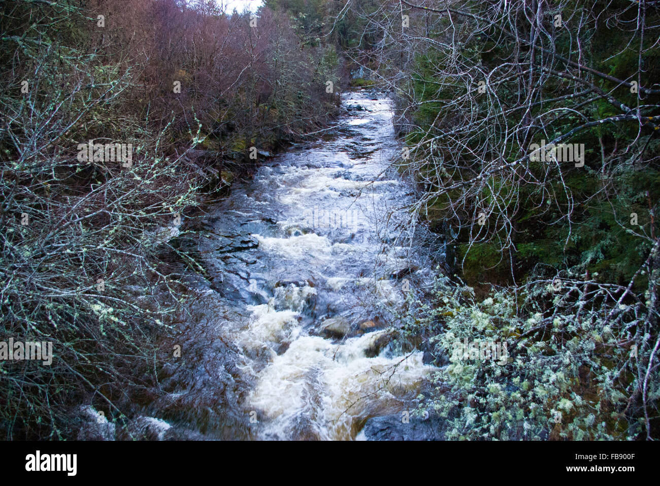 Un fiume di whisky nelle Highlands scozzesi! Foto Stock