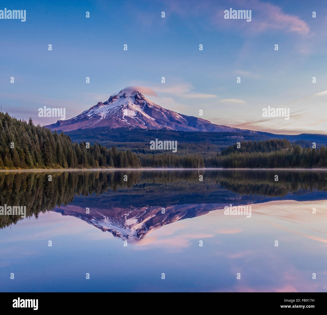 Montare il cofano e Trillium lago a sunrise; Mount Hood National Forest, Oregon. Foto Stock