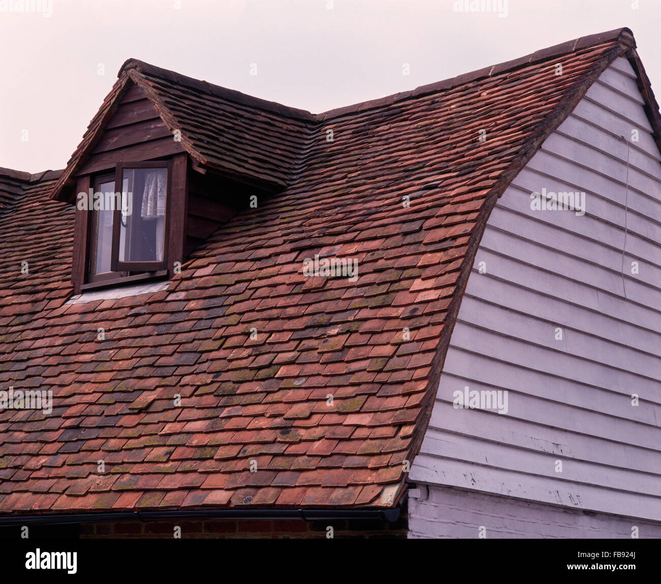 Close-up di un piolo tetto di tegole su un clapboard house Foto Stock