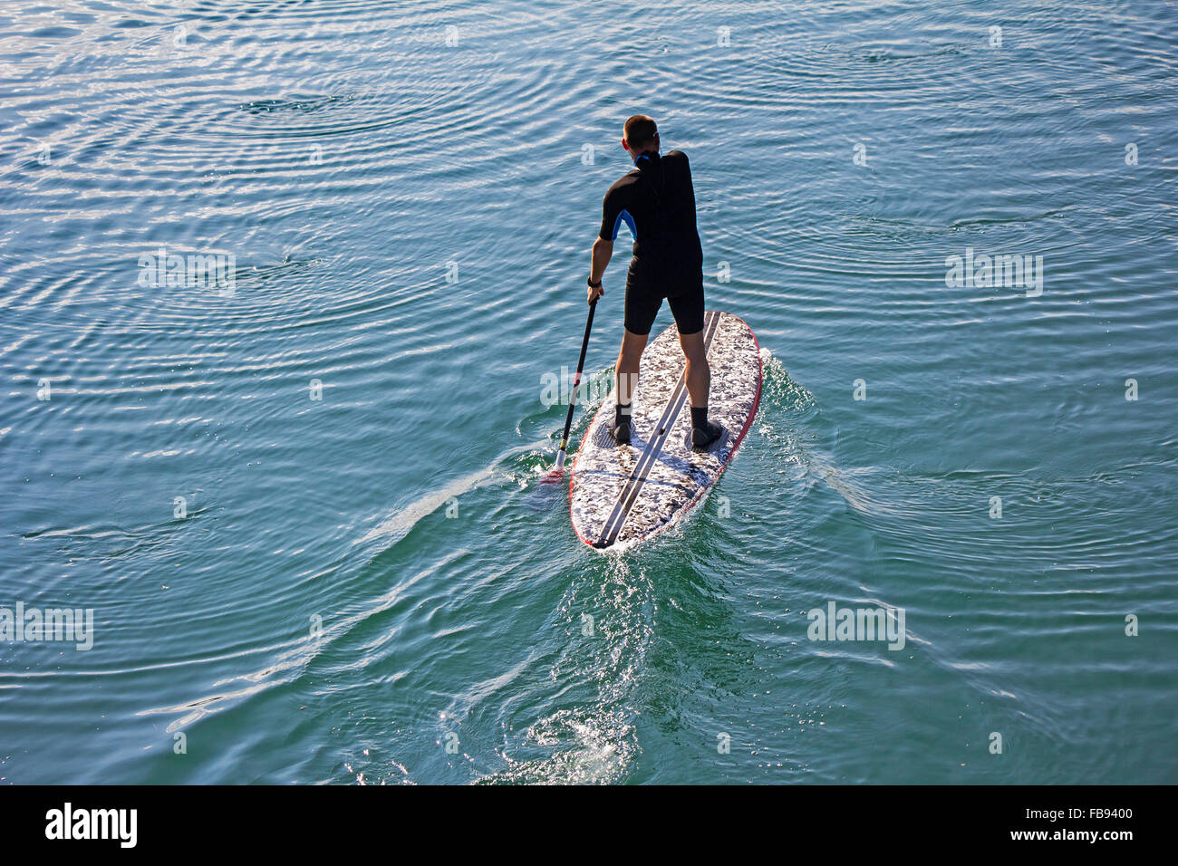 Stand Up Paddle board uomo paddleboarding sul tranquillo lago Foto Stock