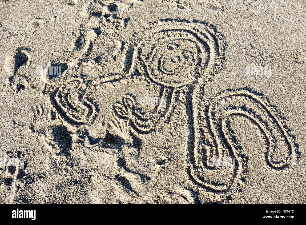 Bambino del disegno della faccia felice polpo con lunghi tentacoli in sabbia a Playa Las Conchas Puerto Penasco Foto Stock