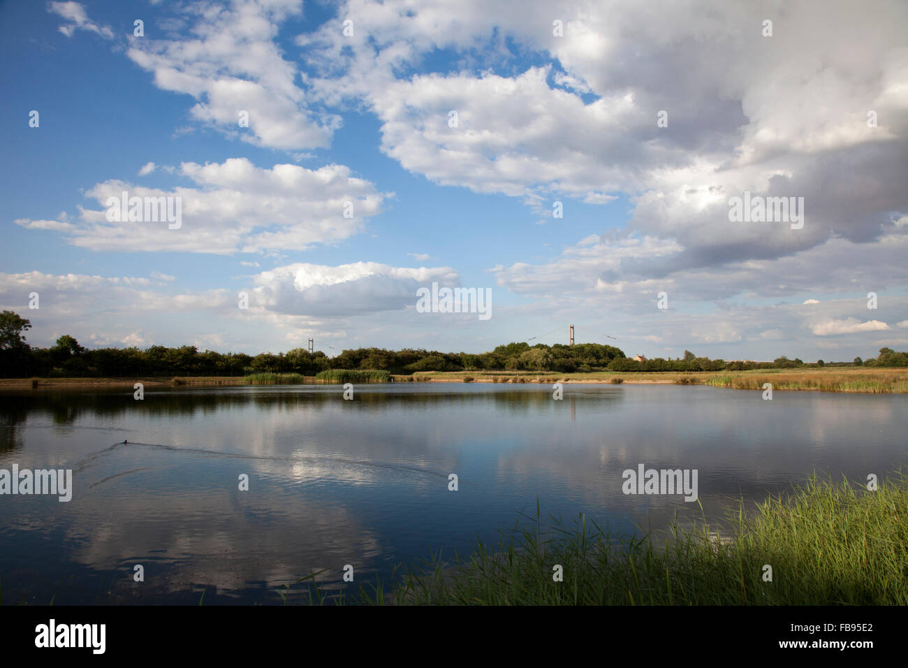 Lungi Ings NNR, Barton - su Humber, canneti, Humber Bridge, Riserva Naturale, vecchie cave di argilla, Foto Stock