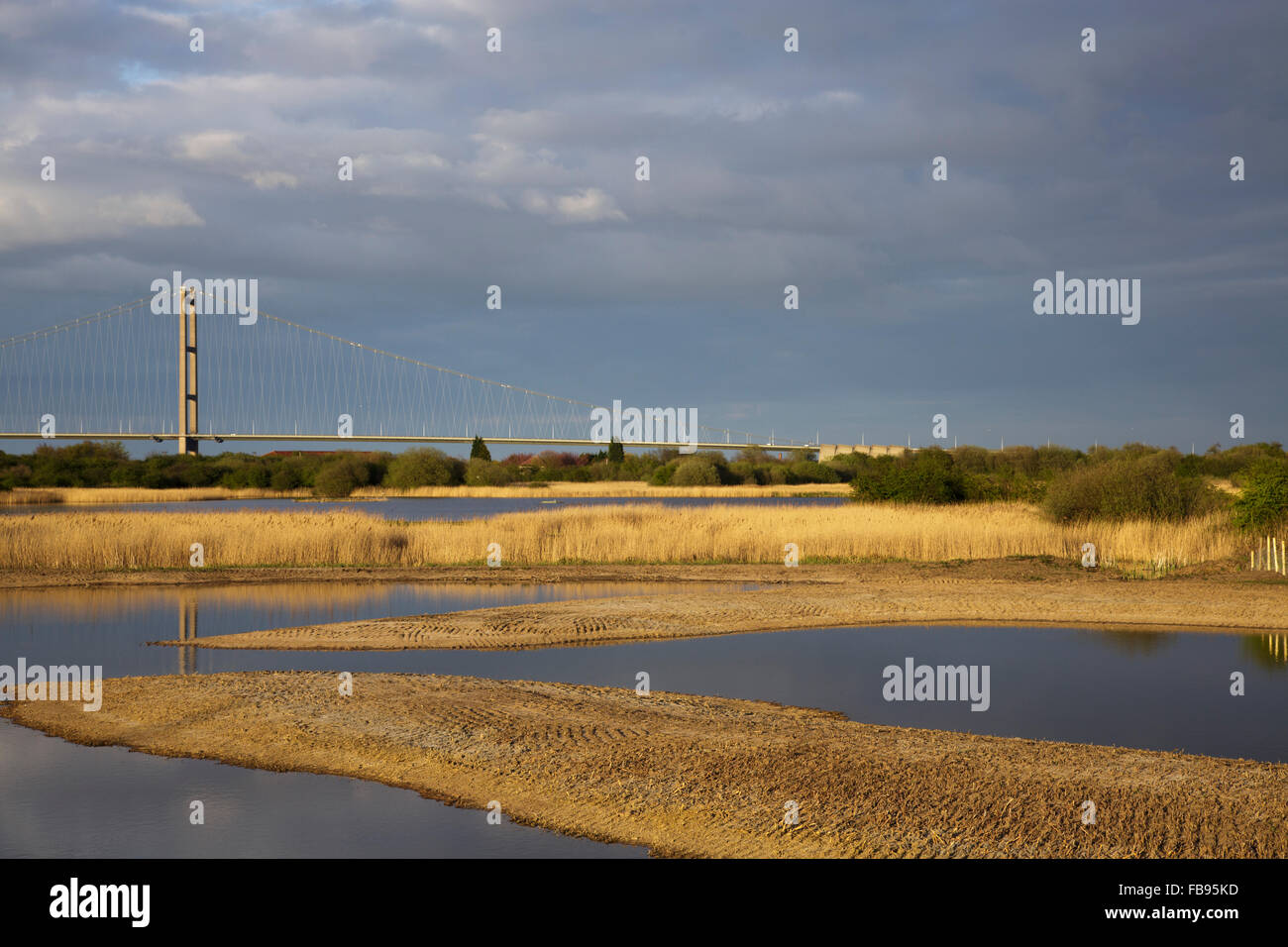 Lungi Ings NNR, Barton - su Humber, Foto Stock