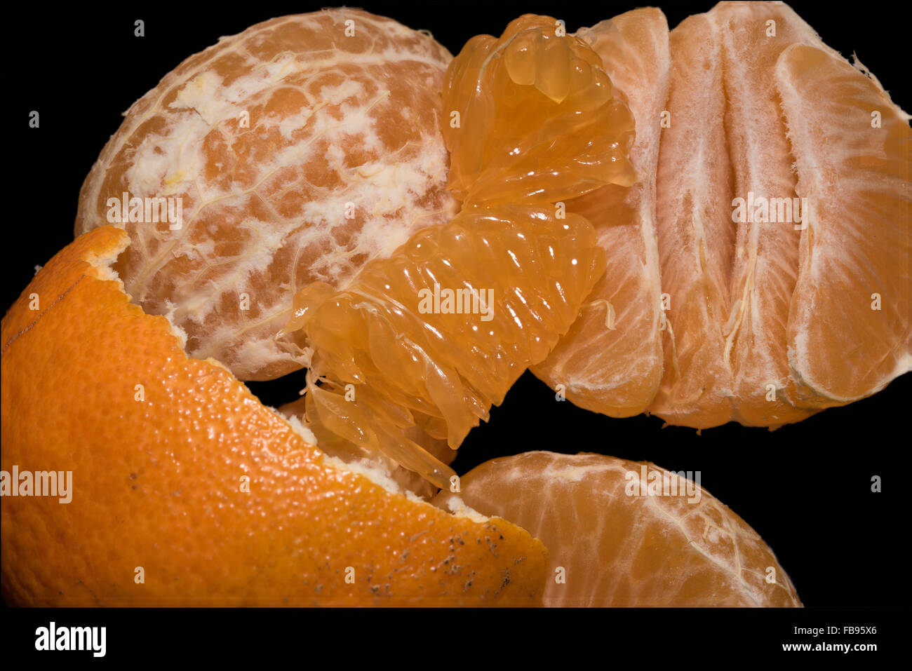 Tropical mandarin su sfondo nero Foto Stock