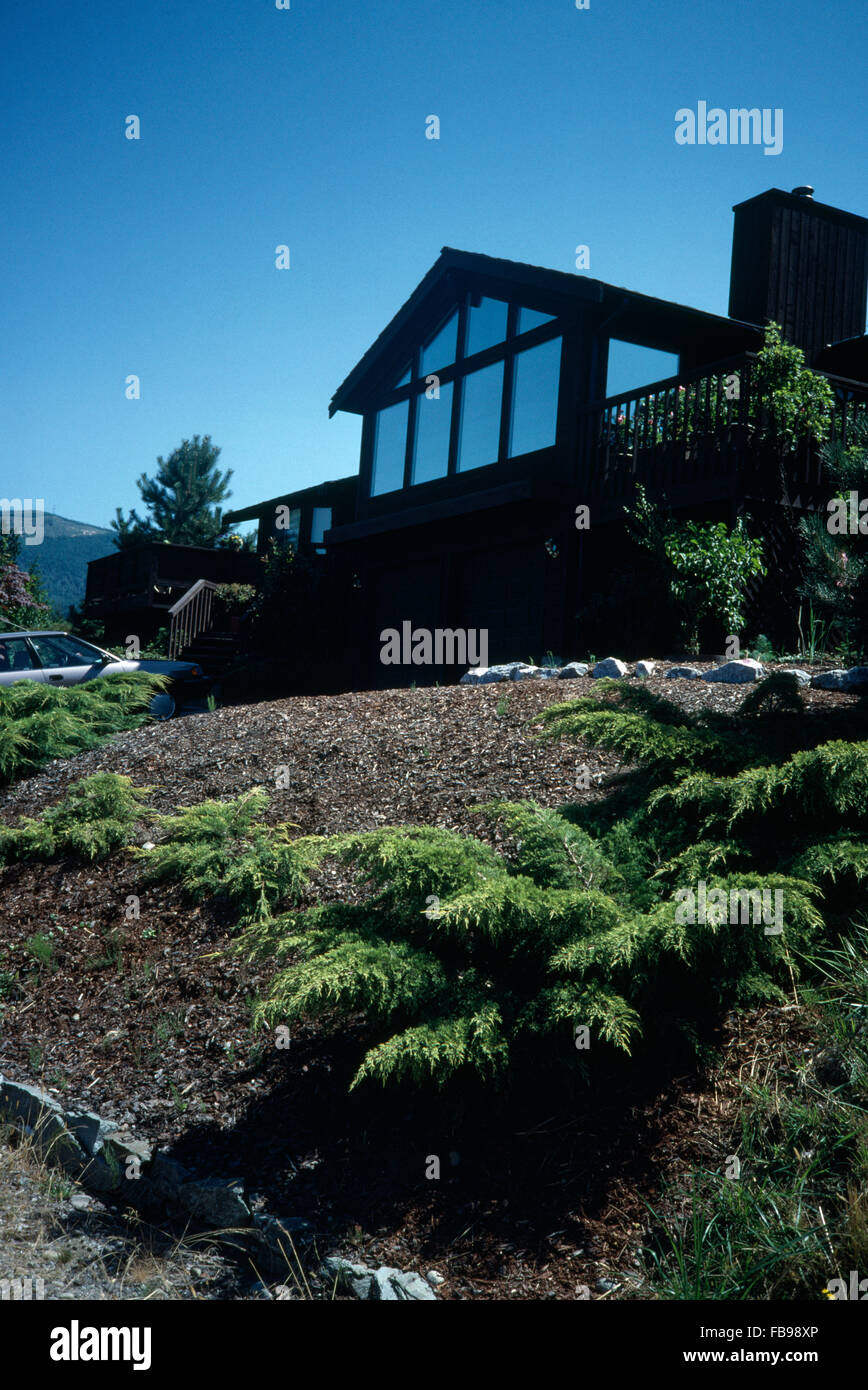 Bassa conifera cresce in pendenza giardino anteriore di un moderno hotel di North American house Foto Stock