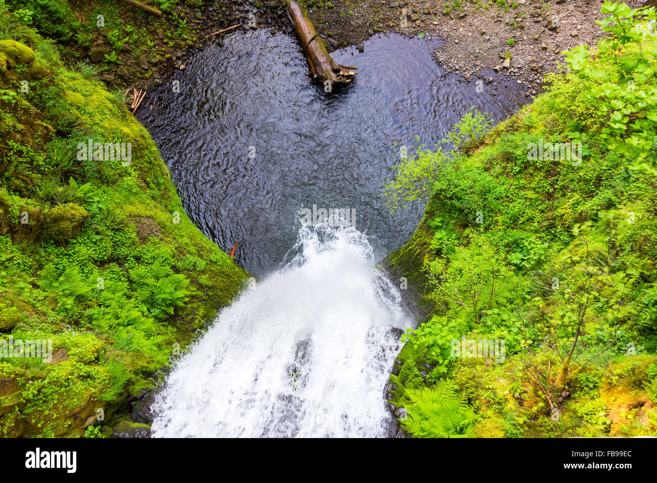 Guardando verso il basso sulle cascate Multnomah in Columbia River Gorge in Oregon Foto Stock