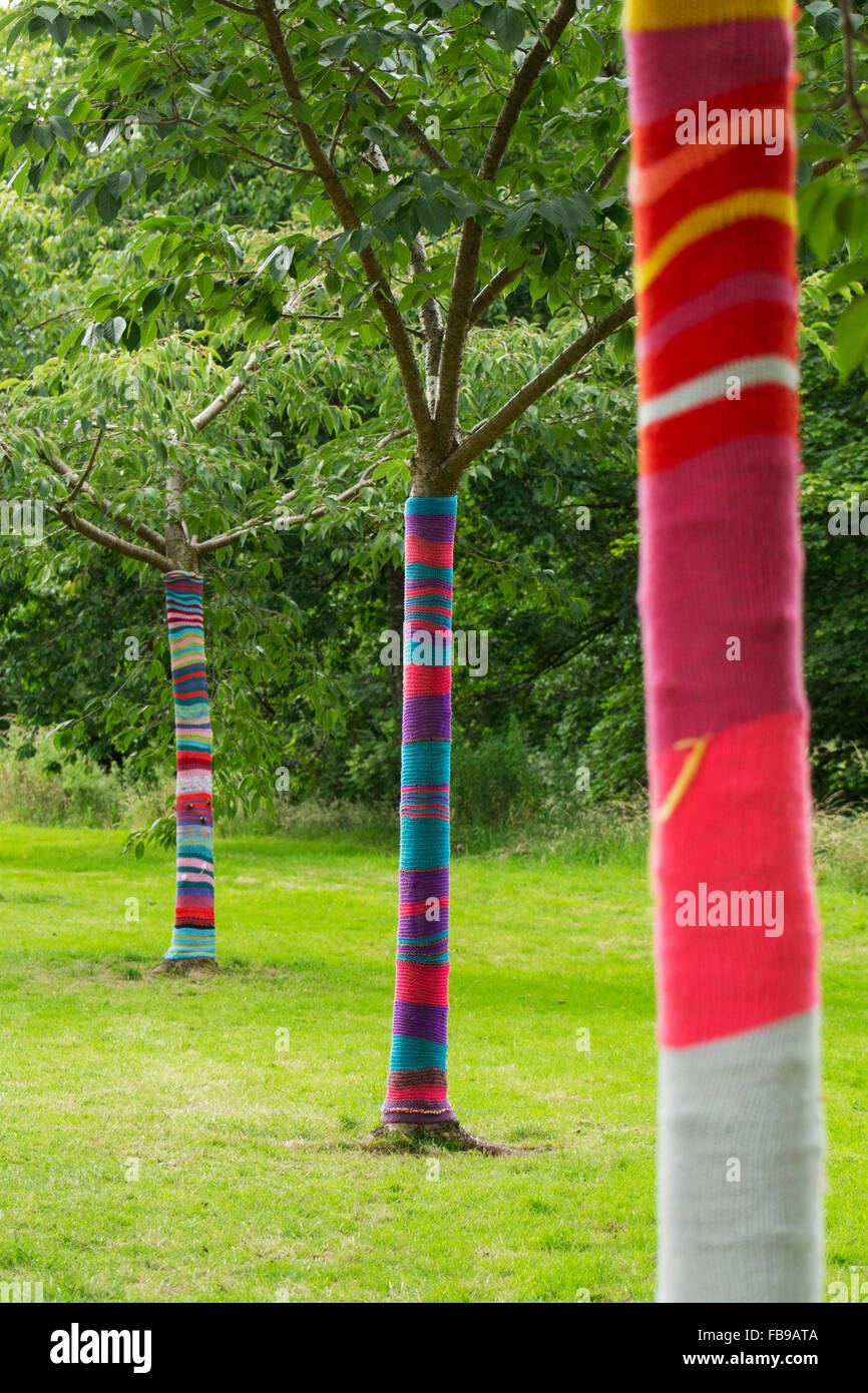 Alberi in Irlanda con maglie a maglia Foto Stock