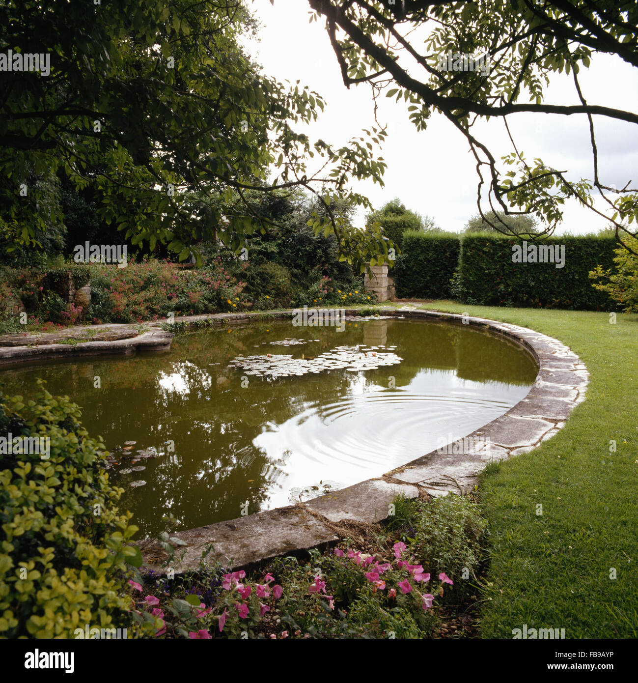 Piscina ovale refilato con pietra in un paese grande giardino in estate Foto Stock