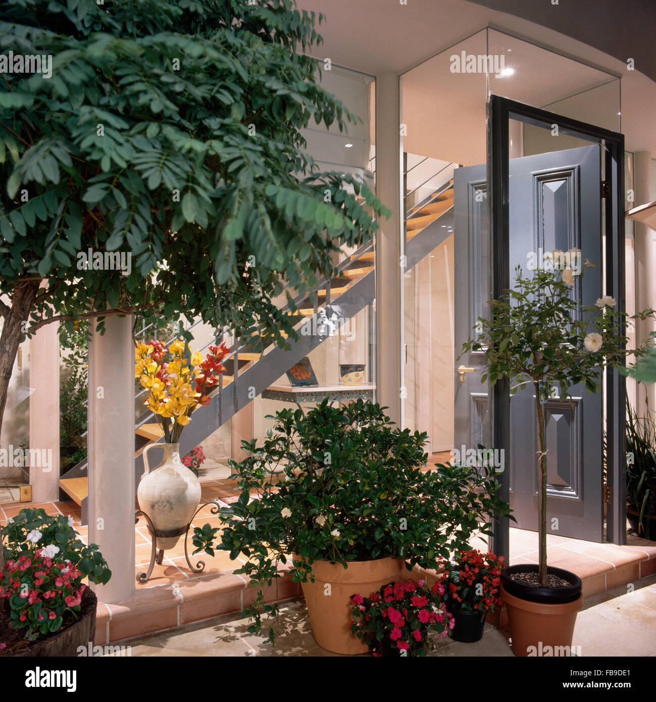 Lussureggianti piante verdi e un standard struttura rose in vasi al di fuori di una casa moderna con pareti in vetro e vista della hall e delle scale Foto Stock