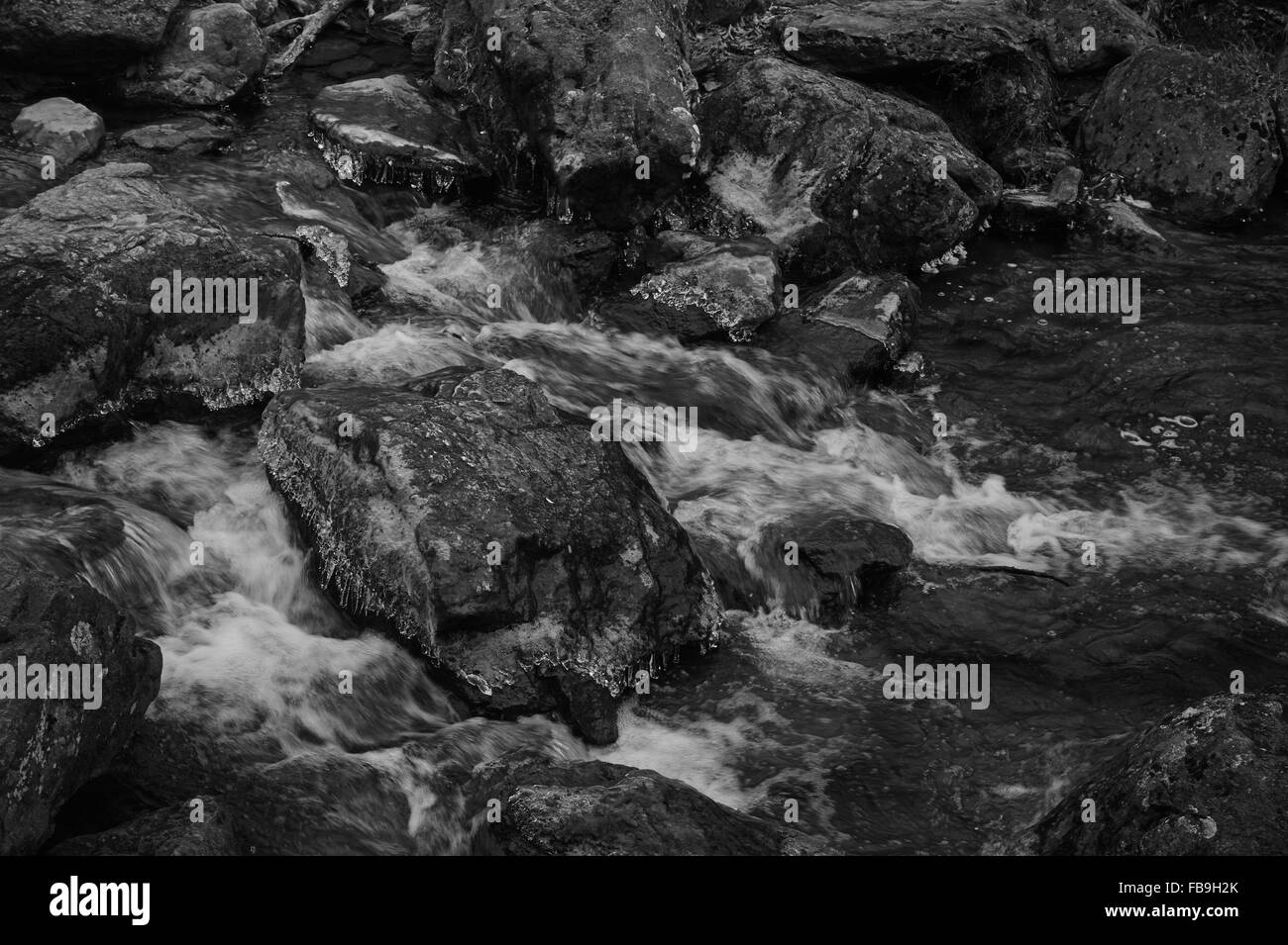 Caccia Creek, Cunningham Falls State Park, Thurmont, Maryland, Stati Uniti d'America Foto Stock