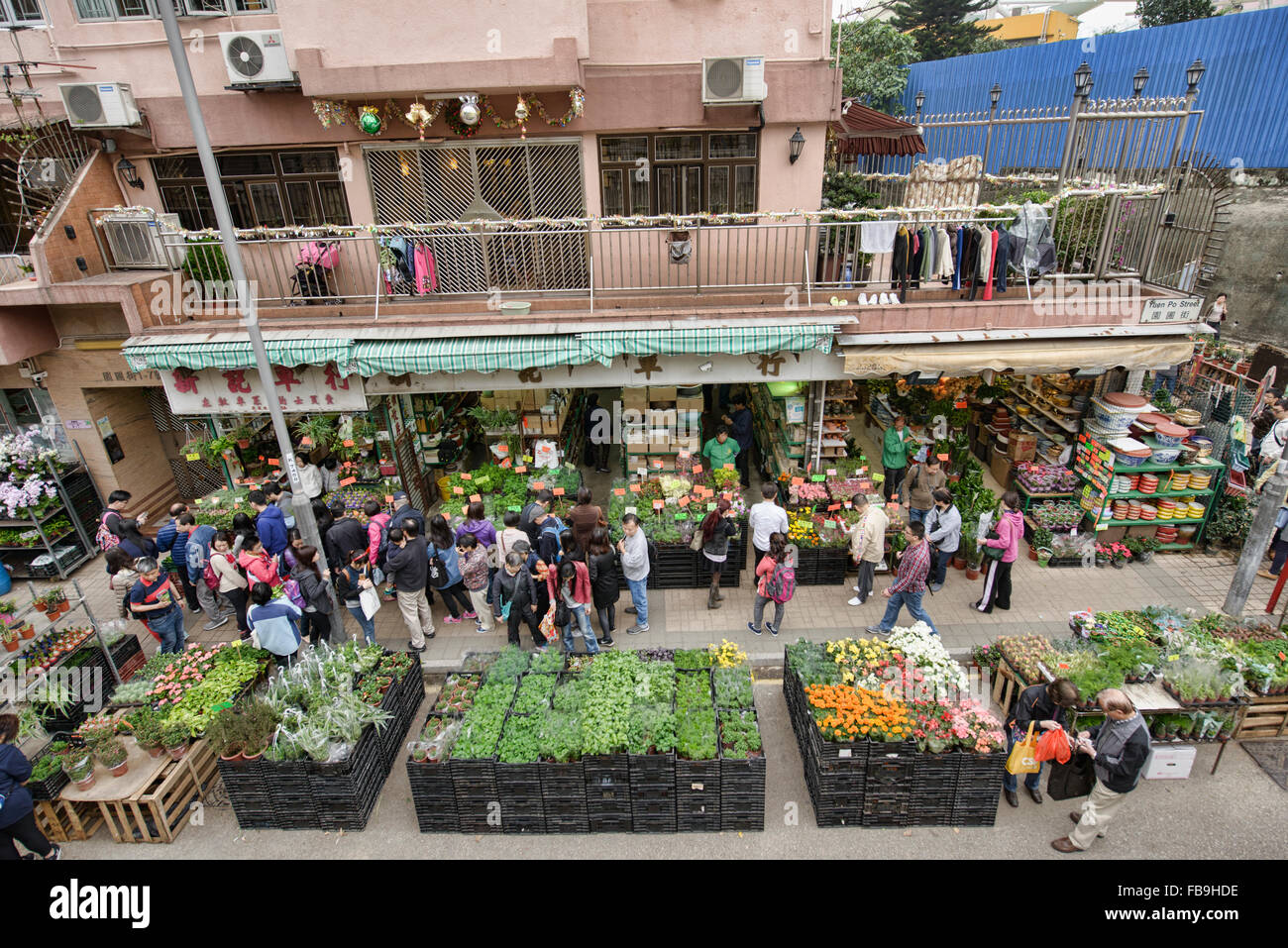 Scene dal vivace Mercato dei Fiori in Mongkok, Hong Kong Foto Stock