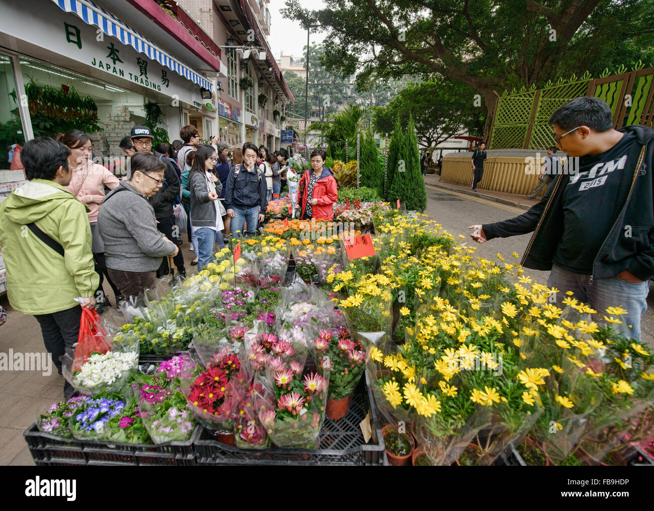 Scene dal vivace Mercato dei Fiori in Mongkok, Hong Kong Foto Stock