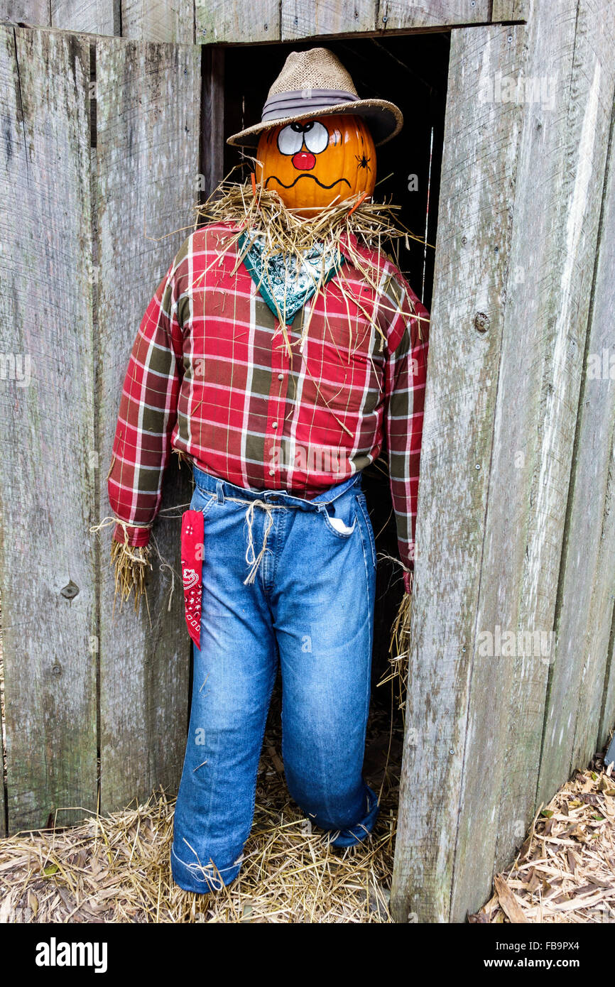 Bradenton Florida,Hunsader Farms,autunno,autunno,patrimonio agricolo,nostalgia nostalgico retrò,umorismo,umorismo,vendita prodotti display,Halloween, Foto Stock