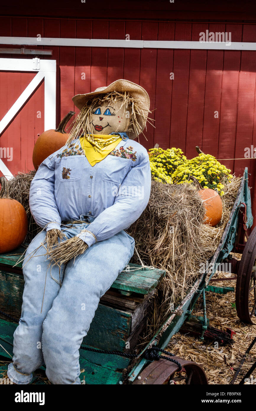 Bradenton Florida,Hunsader Farms,autunno,autunno,patrimonio agricolo,nostalgia nostalgico retrò,umorismo,umorismo,vendita prodotti display,Halloween, Foto Stock
