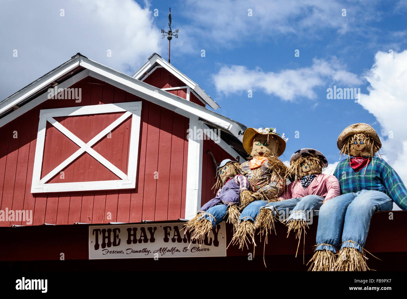 Bradenton Florida,Hunsader Farms,autunno,autunno,patrimonio agricolo,nostalgia nostalgico retrò,umorismo,umorismo,vendita prodotti display,Halloween, Foto Stock