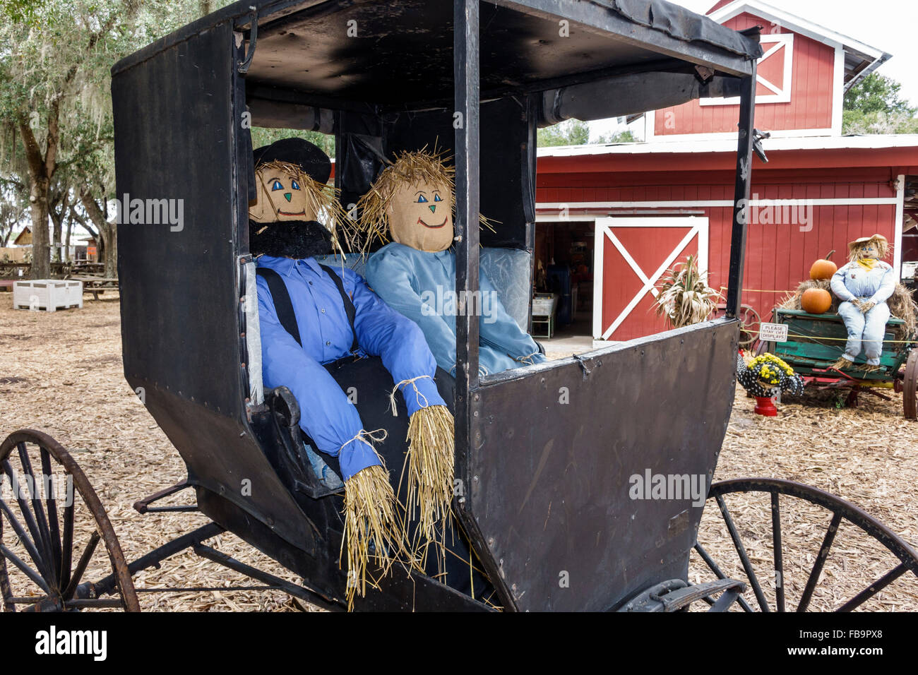 Bradenton Florida,Hunsader Farms,autunno,autunno,patrimonio agricolo,nostalgia nostalgico retrò,umorismo,umorismo,vendita prodotti display,Halloween, Foto Stock