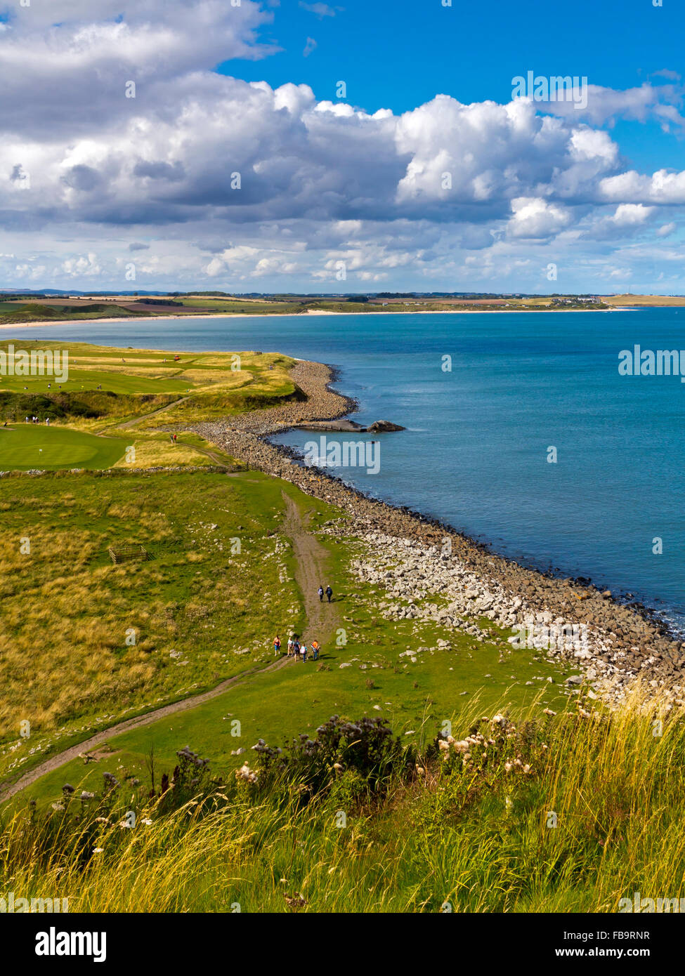 Vista guardando verso nord lungo la costa di Northumberland a Embleton Bay North East England Regno Unito in estate con il mare del Nord visibile Foto Stock